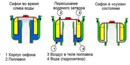 Гидрозатвор для канализации: классификация гидрозатворов и правила его монтажа