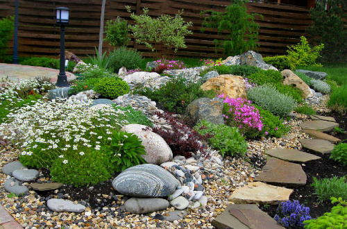 Подбор растений для каменистого сада