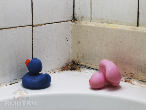 





Как избавиться от плесени в ванной комнате



