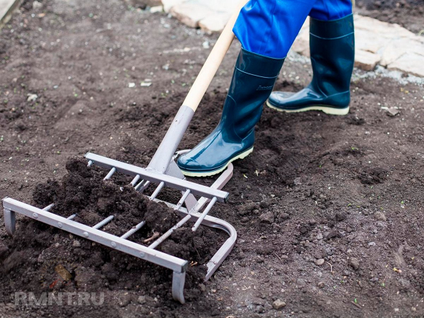 





Лопата для рыхления земли: особенности и преимущества




