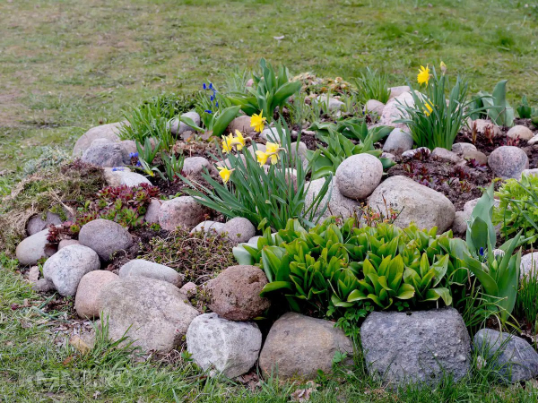 





Идеи альпинариев, садов камней для маленьких участков



