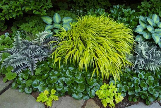 Цветник в саду: виды декоративных композиций и правила их создания