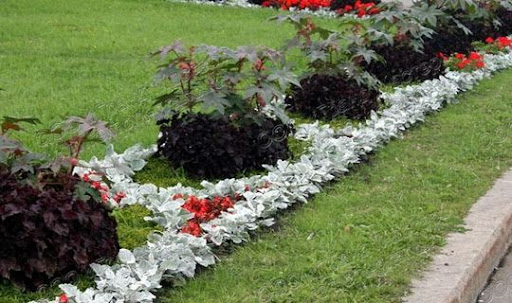 Цветник в саду: виды декоративных композиций и правила их создания