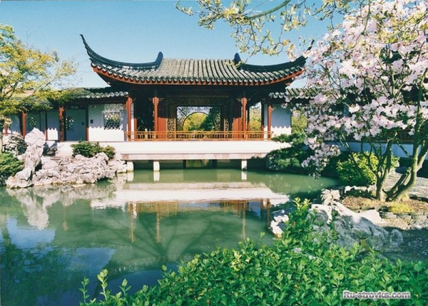 Китайский сад.